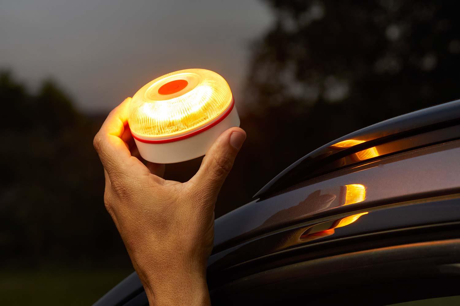 Geobaliza V16 Conectada Help Flash